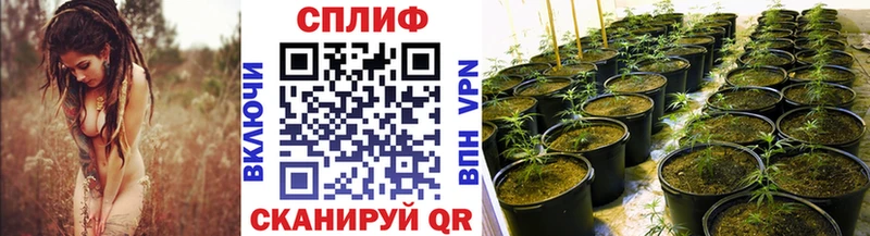 купить  цена  Ангарск  Марихуана семена 